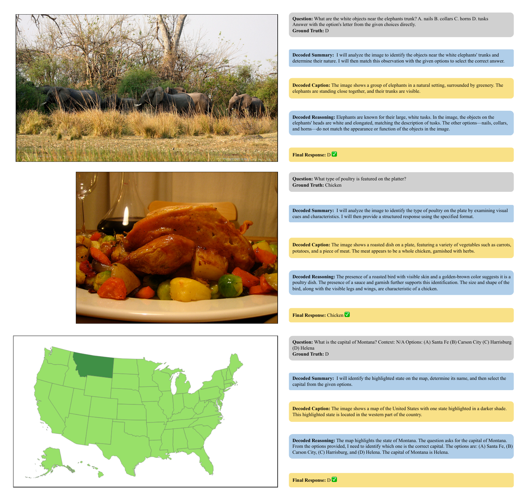 VLM examples of decoding latent thoughts into summary, caption, and reasoning.